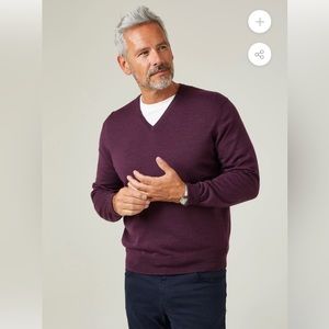 Alan Paine 100% Merino Wool Men’s Vee Neck Jumper Sweater